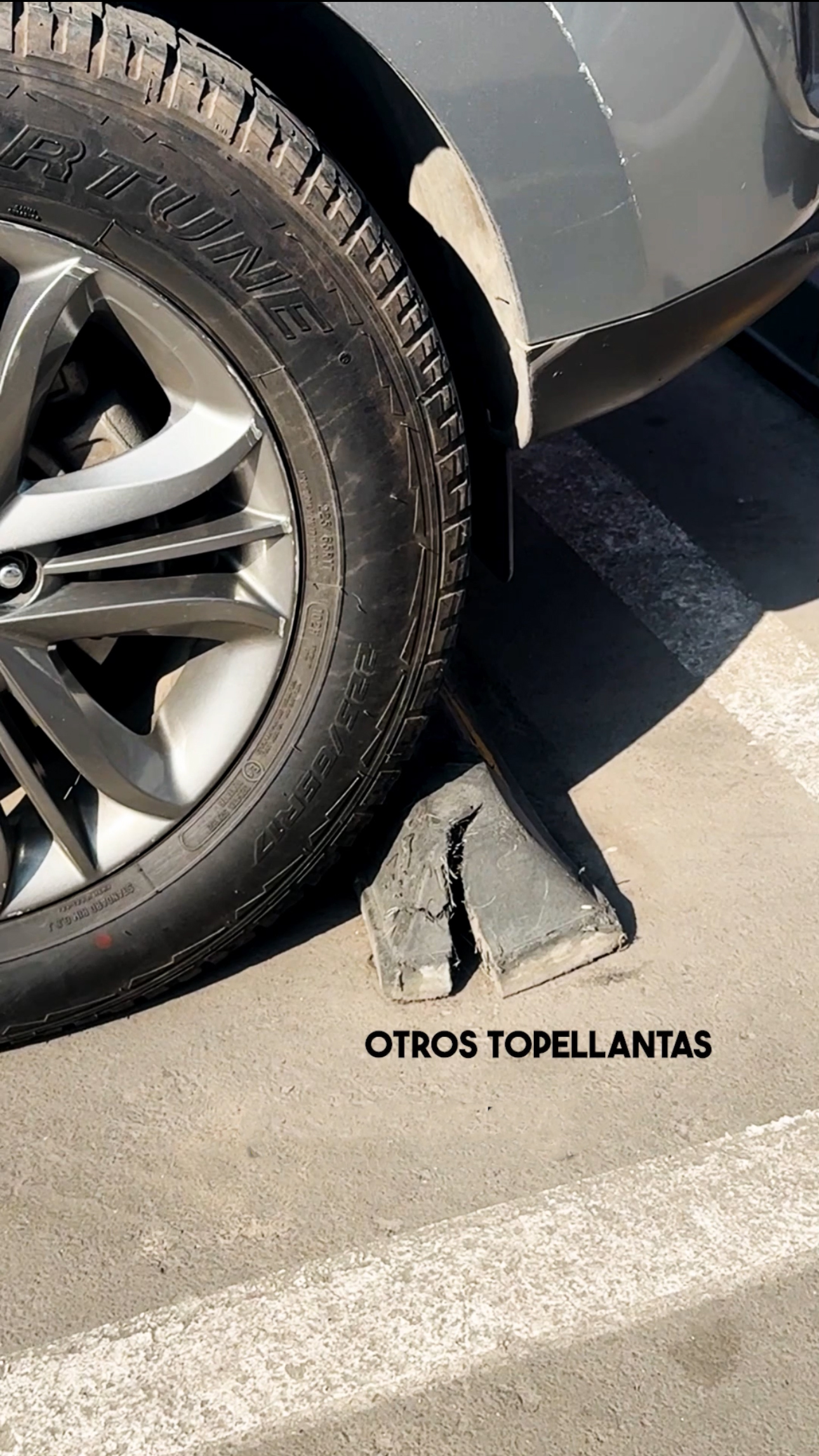 topellanata roto